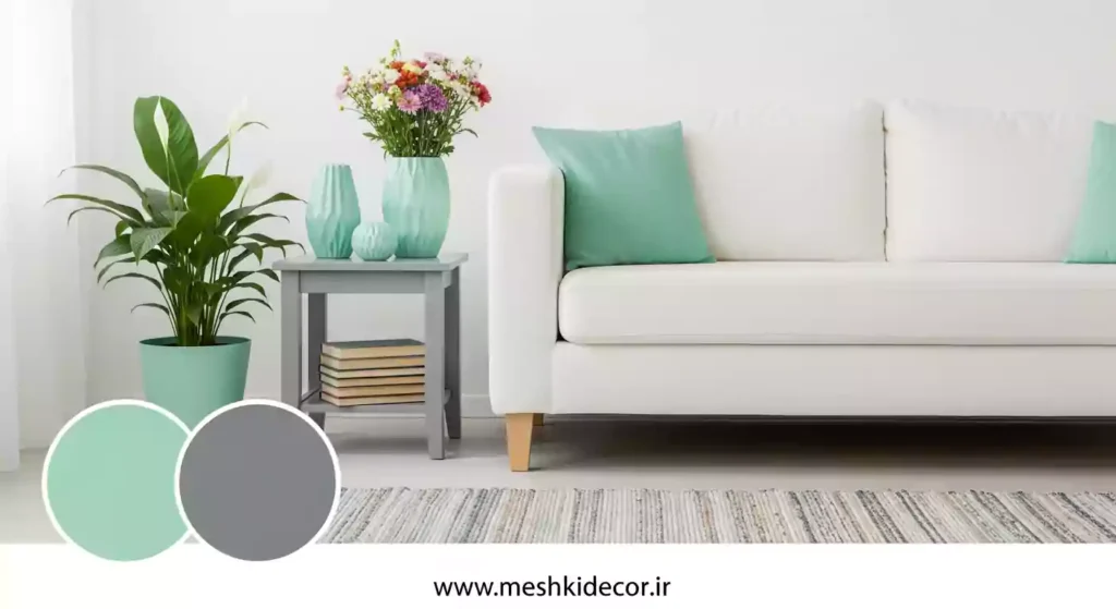 تم رنگی برای دکوراسیون منزل مینیمال