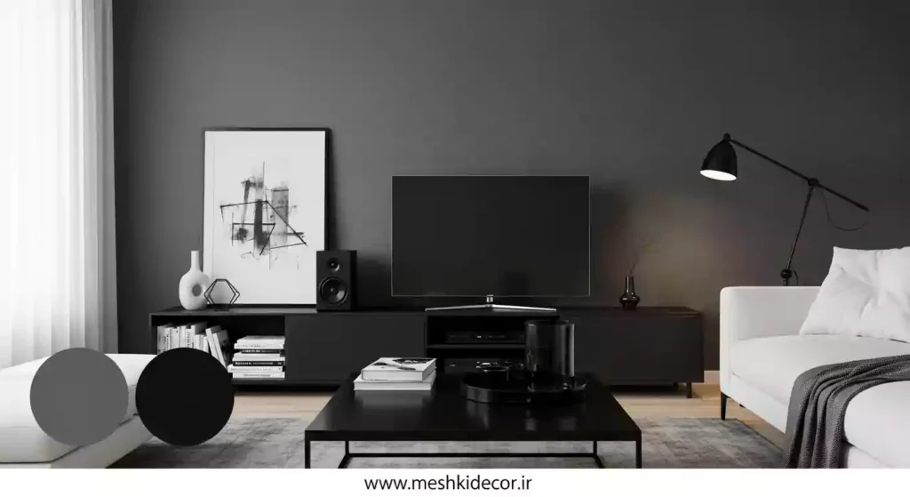 تم رنگی برای دکوراسیون منزل مینیمال