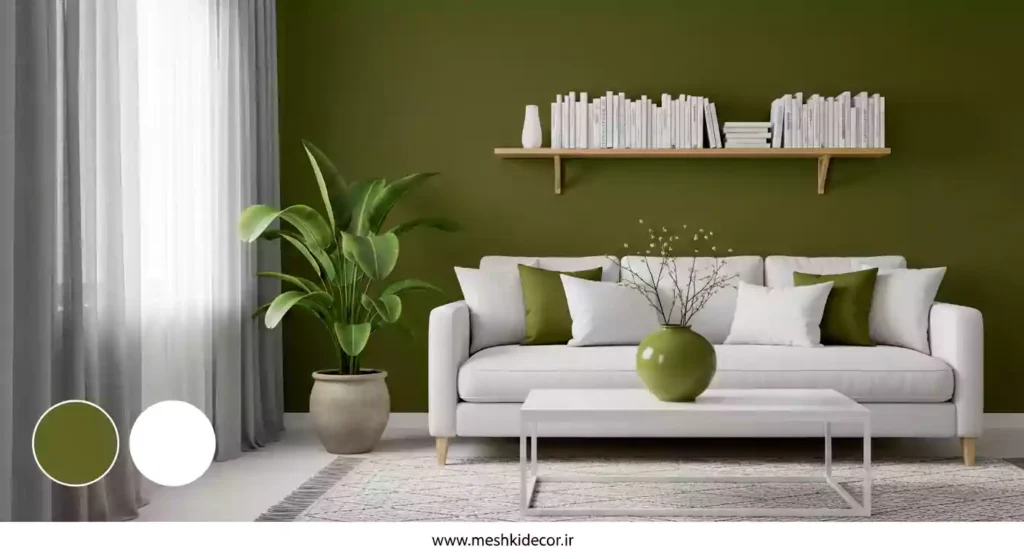 تم رنگی برای دکوراسیون منزل مینیمال