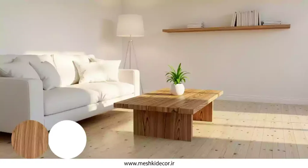 تم رنگی برای دکوراسیون منزل مینیمال