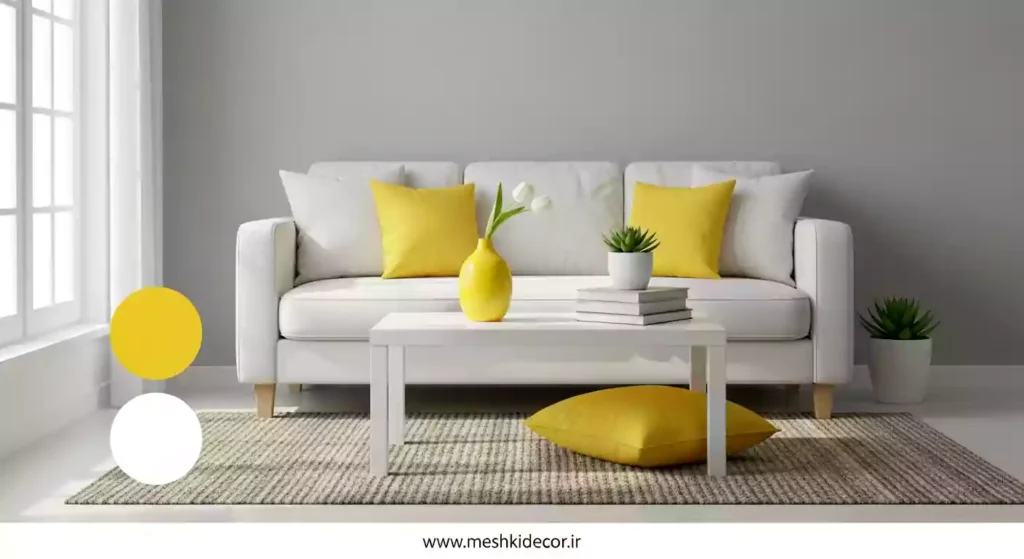 تم رنگی برای دکوراسیون منزل مینیمال