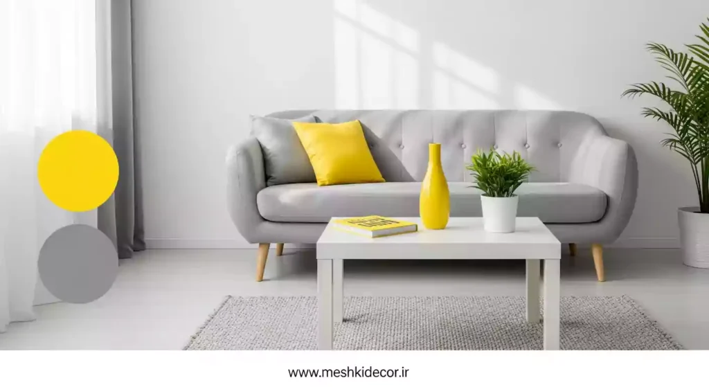 تم رنگی برای دکوراسیون منزل مینیمال