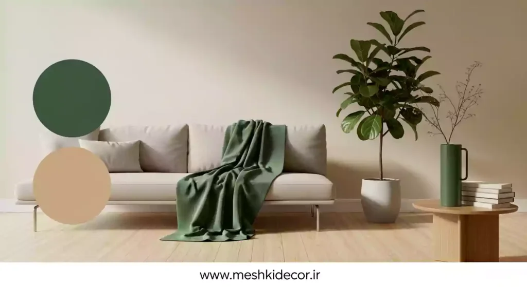 تم رنگی برای دکوراسیون منزل مینیمال